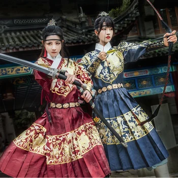 Erkekler Hanfu Giyim Çin Geleneksel Antik Ming Hanedanı Uzun Elbise Kırmızı / Mavi Uçan Balık Giysileri Kadın Yakışıklı Hanfu DQL5461