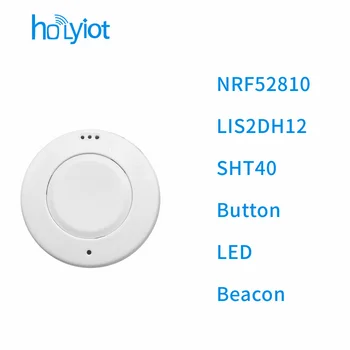 Holyıot nRF52810 Eddystone ıbeacon Etiketi Bluetooth 5.0 Düşük Güç Tüketimi Modülü LIS2DH12 SHT40 Sensörü BLE beacon